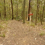 Red track marker near the Mt Sugarloaf summit (324305)