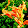 chalermsri svetachinta chalermsri svetachinta's profile photo