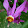 Elaine Taddei Elaine Taddei's profile photo