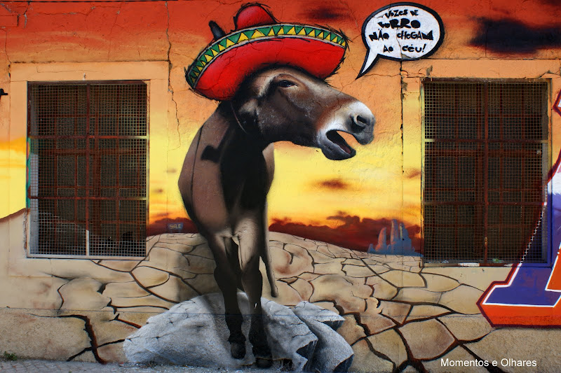 Setúbal mais bonita, Vozes de burro não chegam ao céu