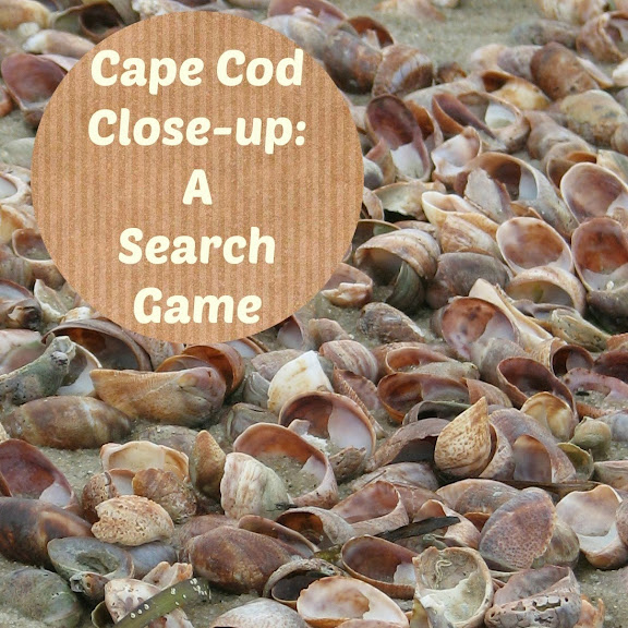 Cape Cod Close-up: A Search Game!