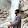 Thosecan Thoshkhana Thosecan Thoshkhana's profile photo