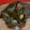 Martin Mosman Martin Mosman's profile photo