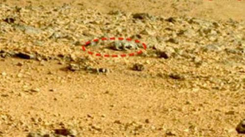 Curiosity 9 Mois Dexploration De Mars En Time Lapse