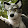 Wulfer wolf Wulfer wolf's profile photo