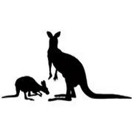 Kangaroos at Risk's user avatar
