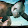 Michael Pontone Michael Pontone's profile photo