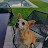 Ramces Baniares avatar image