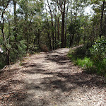 Management trail north east of Nyari Lookout (234683)