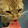 Tobias Gisi Tobias Gisi's profile photo
