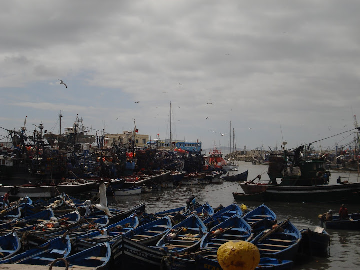Viaje en tren por Marruecos - Blogs de Marruecos - Etapa 7. Essaouira (6)