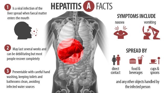 [Image: hapatitis+a+facts.jpg]