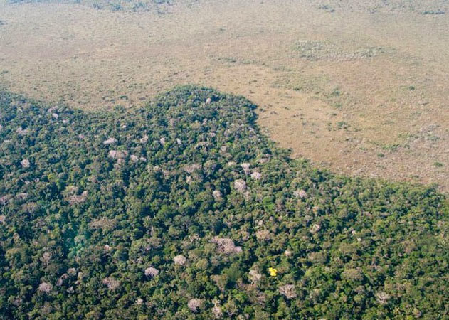 Pampas del Heath in the Bahuaja-Sonene National Park