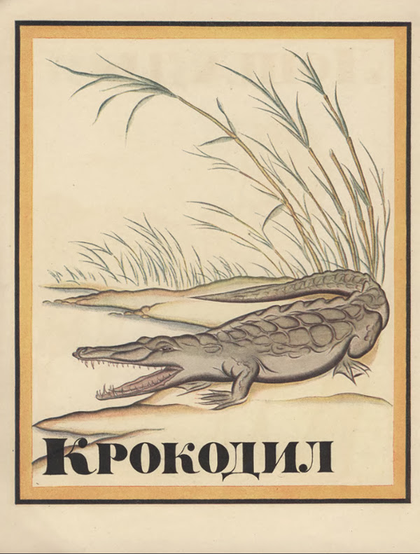 азбука, илюстрации, XX век, книга, музей детства азбука, илюстрации, XX век, книга, музей детства