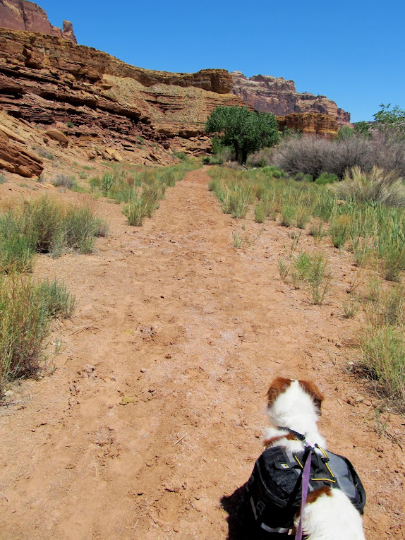 Walkin' along the old road