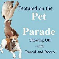 Featured on the Pet Parade Blog Hop