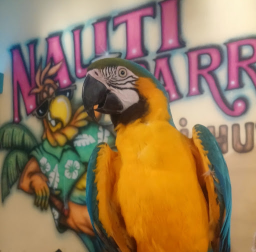 Nauti Parrot Tiki Hut logo