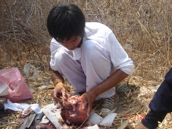 Κανίβαλοι στην Ταϋλάνδη μαγείρεύουν άνθρωπο (Σοκαριστικές εικόνες αυστηρά άνω των 18)  DSC09818