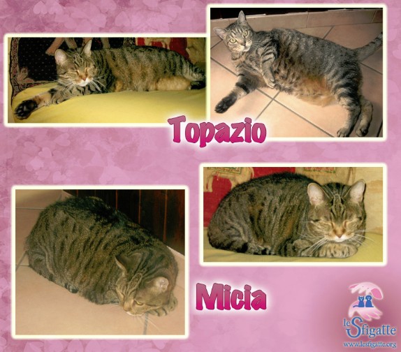 Topazio e Micia