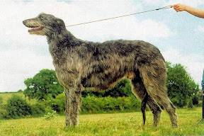 a_kilborn_lufa_von_oemuehle.jpg