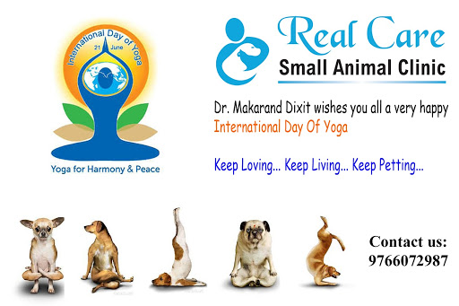Real Care Small Animal Clinic Dr. Makarand Dixit, Plot 60, Perfect Society, near Adhyapak Layout, Near Anusaya Mangal, Karyalay,, Ring Road, Mangal Murti Square, Nagpur, Nagpur, Maharashtra 440036, India, Pet_Adoption_Service, state MH