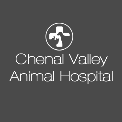 Chenal Valley Animal Hospital