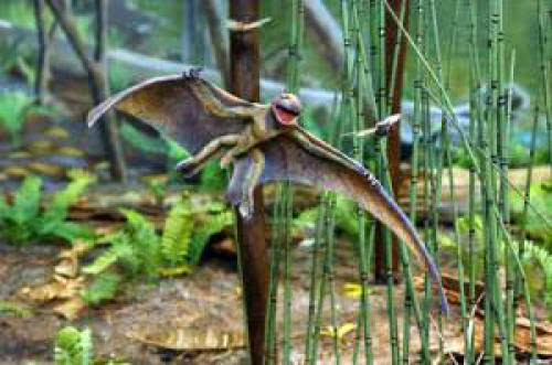 Flying Cryptid Sightings Weird Bat Like Creatures Large Bioluminescent Birds