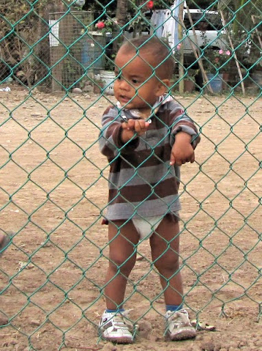little guy and fence
