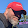 chet justice chet justice's profile photo