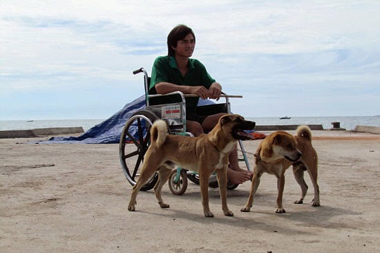 Chó và những câu chuyện để suy ngẫm-15