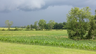 Photos of Janks Pheasant Farm