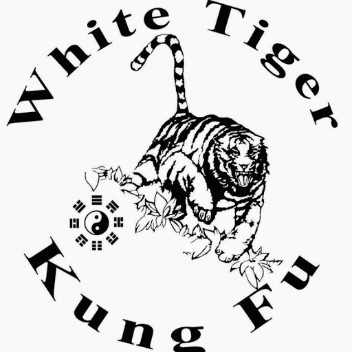 Authentic White Tiger Kung Fu/DFW logo