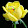 Mariette Schroeder Mariette Schroeder's profile photo