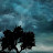 Cecil Thomas avatar image