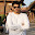 MukeshNaidu PoThUlA's user avatar