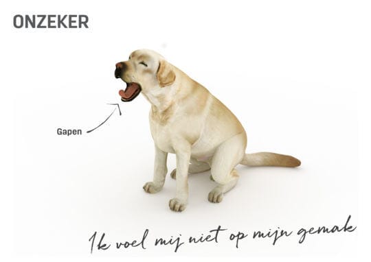 Lichaamstaal hond - onzeker