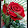 Barb Slade Barb Slade's profile photo
