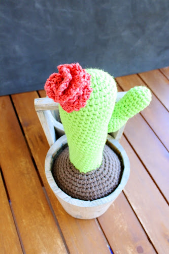 Not 2 late to craft:  Cactus de ganxet / Crocheted cactus
