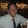 Steve Parker Steve Parker's profile photo
