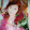Dieu Tran Dieu Tran's profile photo