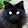 Denis MARCOUREL Denis MARCOUREL's profile photo