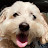 Peter Lau avatar image
