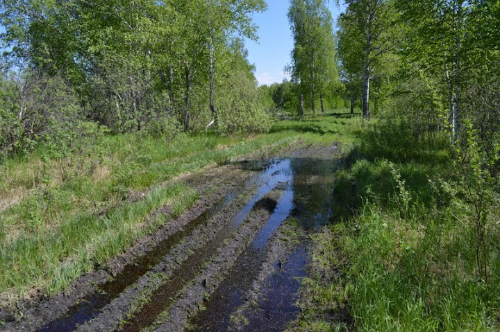 Едем, тонем, горим. Отчет о поездке на оз. Тенис в июне 2013г.