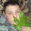 Trent Bevan