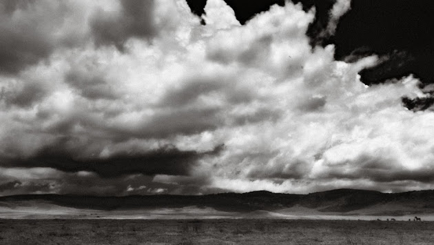 Cover photo