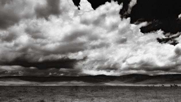 Cover photo