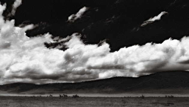 Cover photo