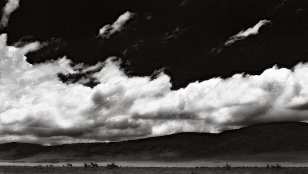Cover photo