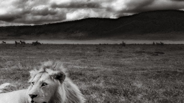 Cover photo