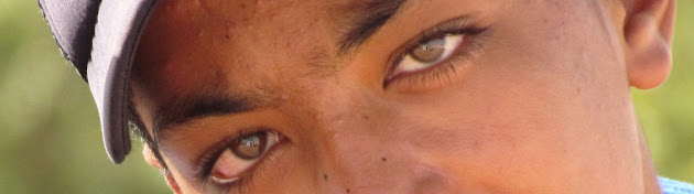 Cover photo